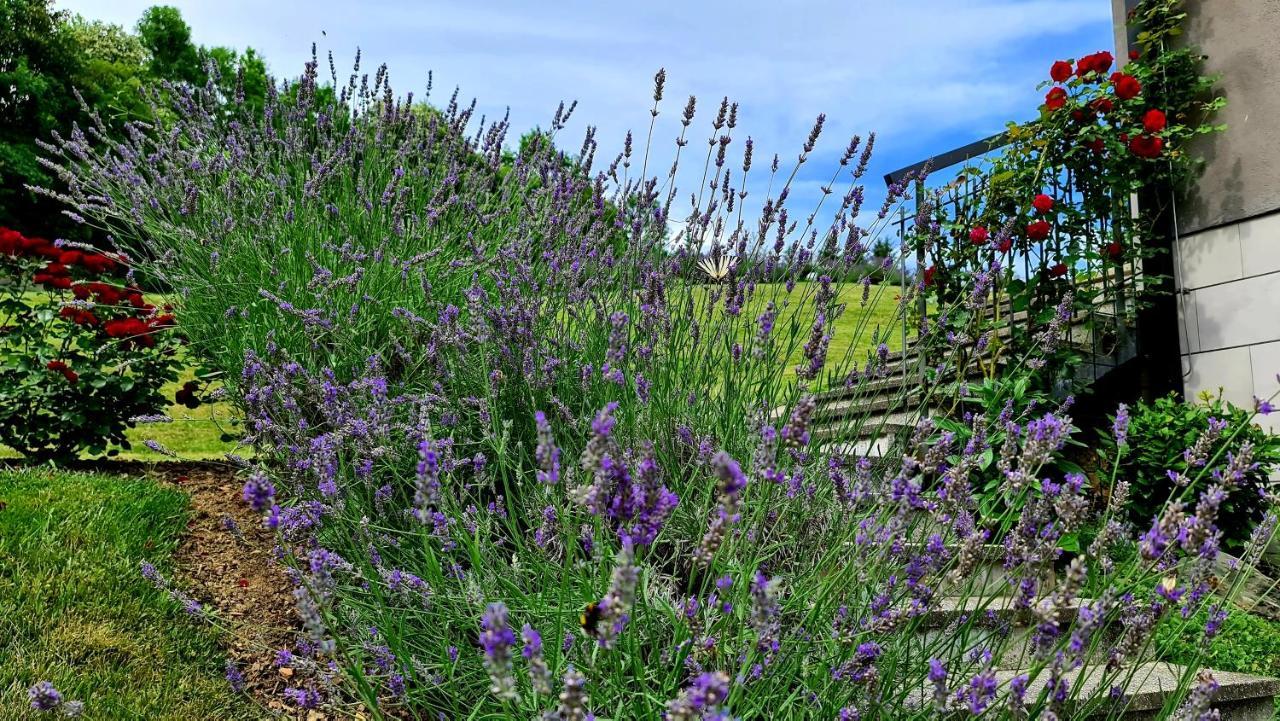 Apartmani Sanja Krapinske Toplice Esterno foto