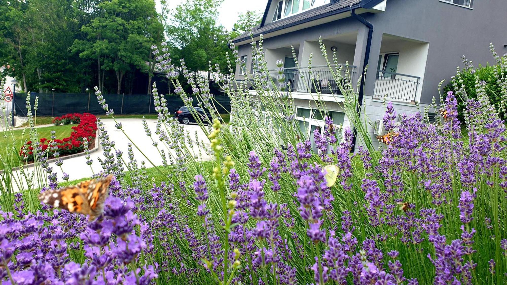 Apartmani Sanja Krapinske Toplice Esterno foto